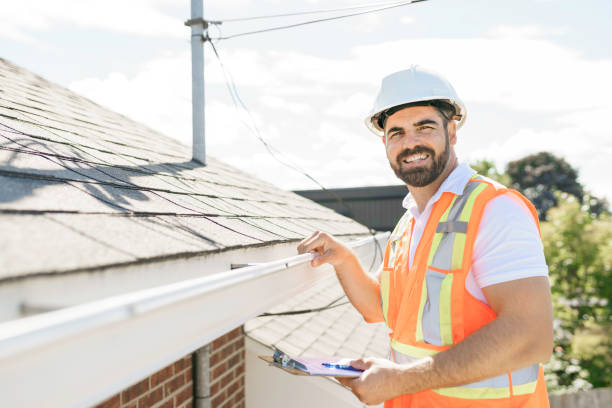 Best Chimney Flashing Repair  in Glenwood, MN
